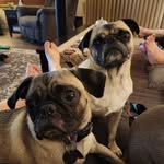 David Pickard - @jester1978dap - Instagram
