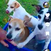 davidpickell529 - @davidpickell529 - TikTok