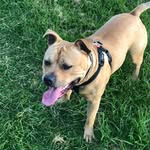 David Pickles - @david.pickles.7315 - Instagram