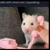 David pickles - @david.pickles0 - TikTok