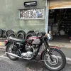 davidpickles - @davidpickles66 - TikTok