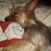 David Picklesimer - Facebook