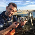 David Picot - @davdof33 - Instagram