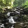 davidpiechocki620 - @davidpiechocki620 - TikTok