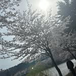 David Pienta - @dp44_29 - Instagram