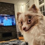 David Pieri - @xcape2theworld - Instagram