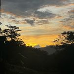 David Pieschacon Alviar - @david_pieschacon - Instagram
