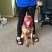 Dave Pietras - Facebook