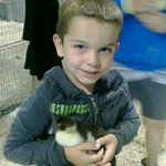 david pilon - @davidpilondp - Instagram