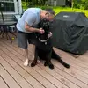davidpinette@icloud.com - @david.pinette - TikTok