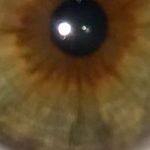David Pinon - @pinon4970 - Instagram