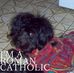 David Pio - Facebook