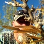 David Pirkl - @davidpirkl - Instagram