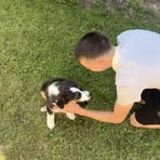 David Piron - Facebook