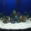 David Pirro - @david.pirro8 - TikTok