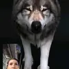 David - @davidpisarciuk - TikTok