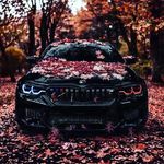 @david_pishalka - Instagram