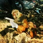 David piter - @david_piter2005 - Instagram