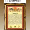 David pitfield AKA The BUDGY - @davidpitfield0 - TikTok