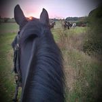 David Pitfield - @david.pitfield - Instagram