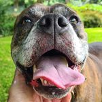 David pitfield - @gradwell777 - Instagram