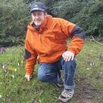 David Pitfield - @pitfielddavid - Instagram