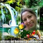 @davidpitico - Instagram