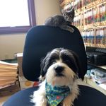 Dave Pitkin - @pitkin.david - Instagram