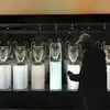 David Pitocco - @david.pitocco - TikTok