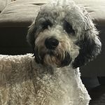 David Pittenger - @pitt47 - Instagram