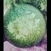 David Pixley - Facebook