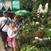 Michelle David Pizon - Facebook