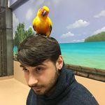 David Pizzo - @dpizzo30 - Instagram