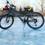 fox david plachý 1234 - @fox_david_plachy_1234 - Instagram