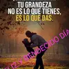 David Placido - @cheg16 - TikTok