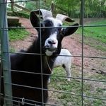 David Plaisance - @ae4et1 - Instagram
