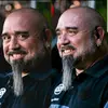 davidplanasmanzano - @davidplanasmanzano - TikTok