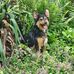 David Plas - Facebook