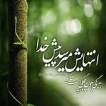 sh - @davidplath.bookworm - Instagram