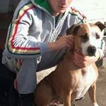 David Platts - @davidplatts87 - Instagram