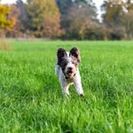 dave - @davidpledge76 - Instagram