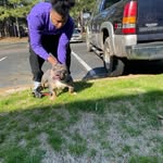 DAVID PLEDGE - @juug_the_boss - Instagram