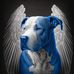 David Pletz - Facebook