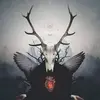 David Plichta - @david.plichta - TikTok