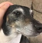 David Plotnik - Facebook