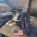 David Pohlman - Facebook