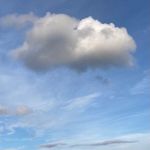 David Pohlmann - @david_pohlmann - Instagram