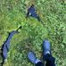 Dave Polyakov - Facebook