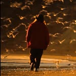 David Porter - @davidporterfilm - Instagram