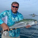 David Porter - @papaportersworld - Instagram